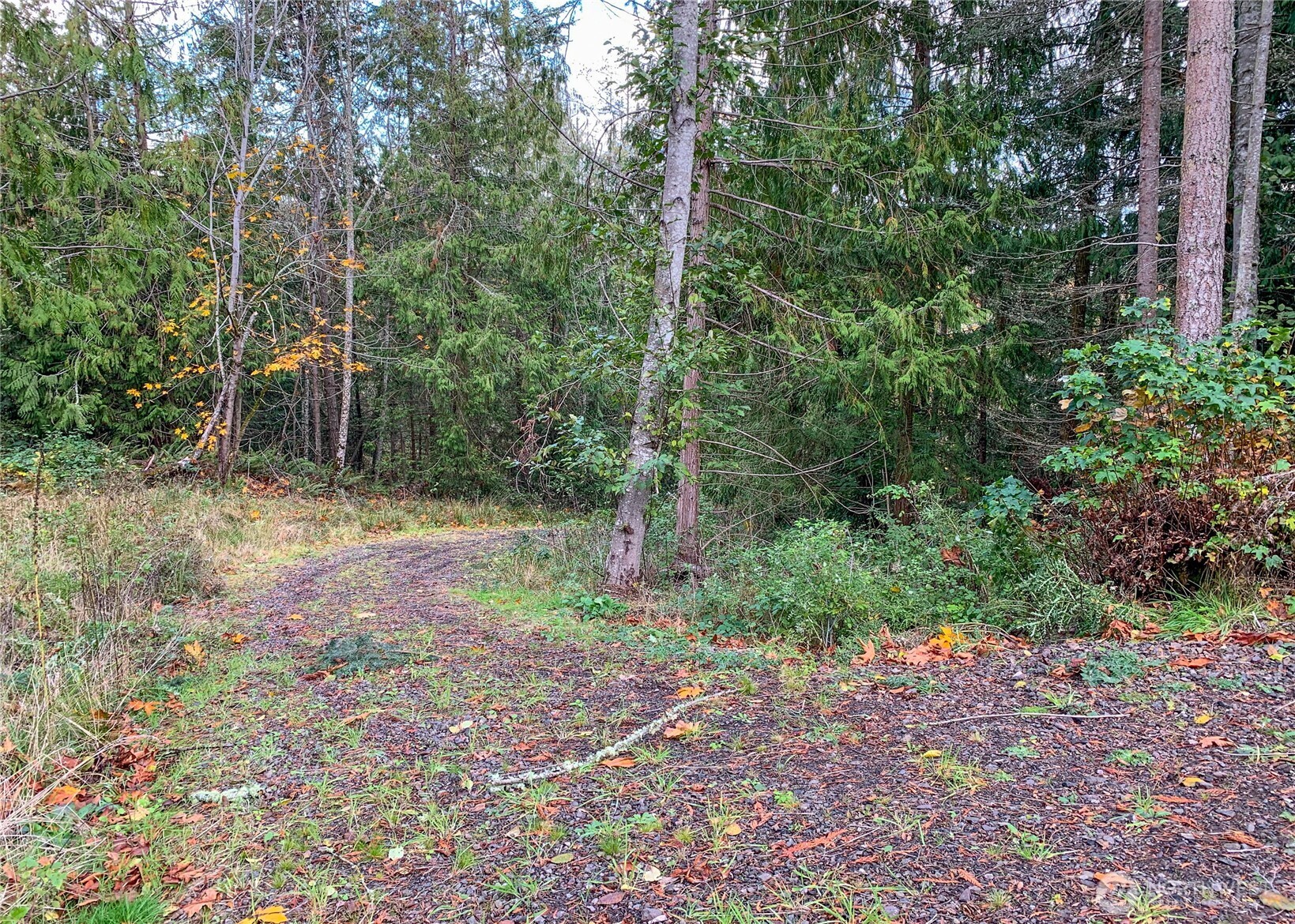495 Louella Road , Sequim, WA 98382