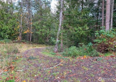 495 Louella Road , Sequim, WA 98382 - Photo 24