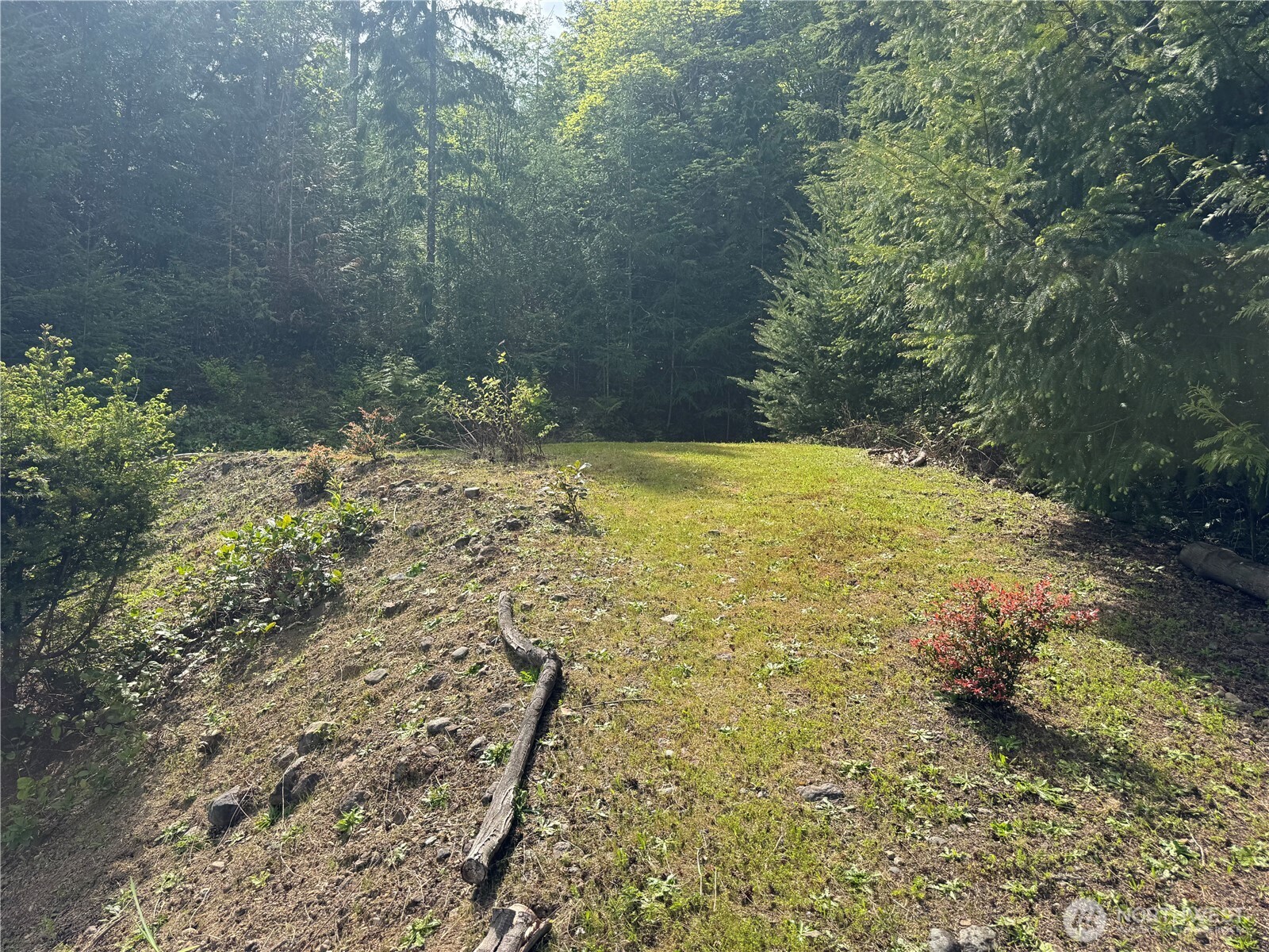 257 Never Give Up Road , Brinnon, WA 98320-9767