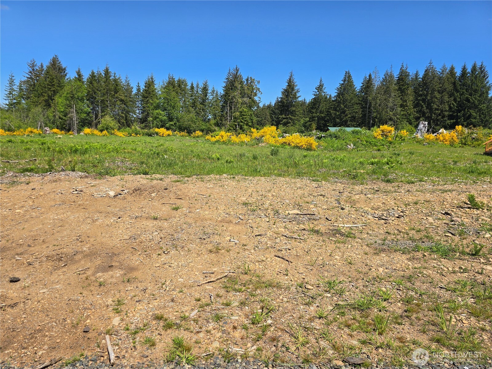 75 Newton Road , Forks, WA 98331