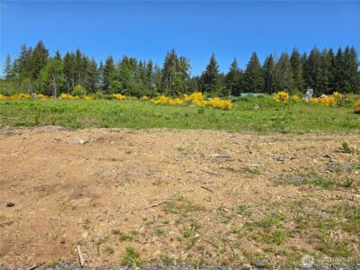 75 Newton Road , Forks, WA 98331 - Photo 2