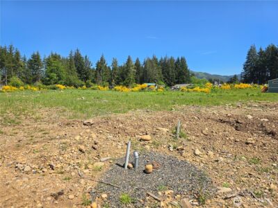 75 Newton Road , Forks, WA 98331 - Photo 3