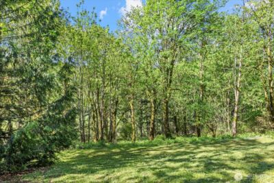 13032 204th Place SE, Issaquah, WA 98027 - Photo 36