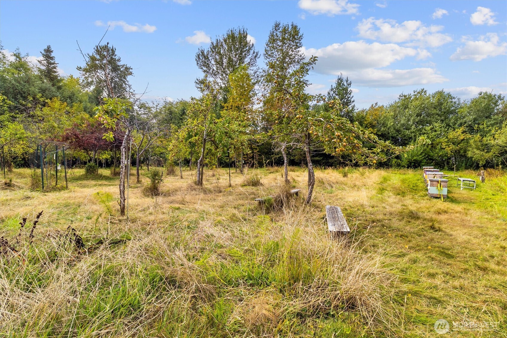 2684 Donovan Avenue , Bellingham, WA 98225
