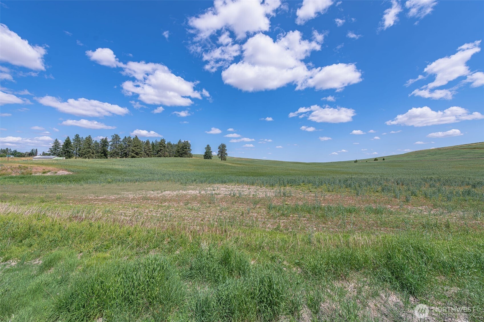 0 Unassigned , Waterville, WA 98858