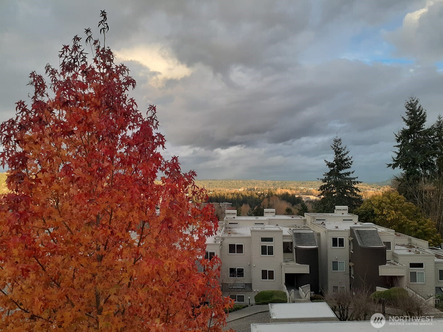 7347 Old Redmond Road #119, Redmond, WA 98052