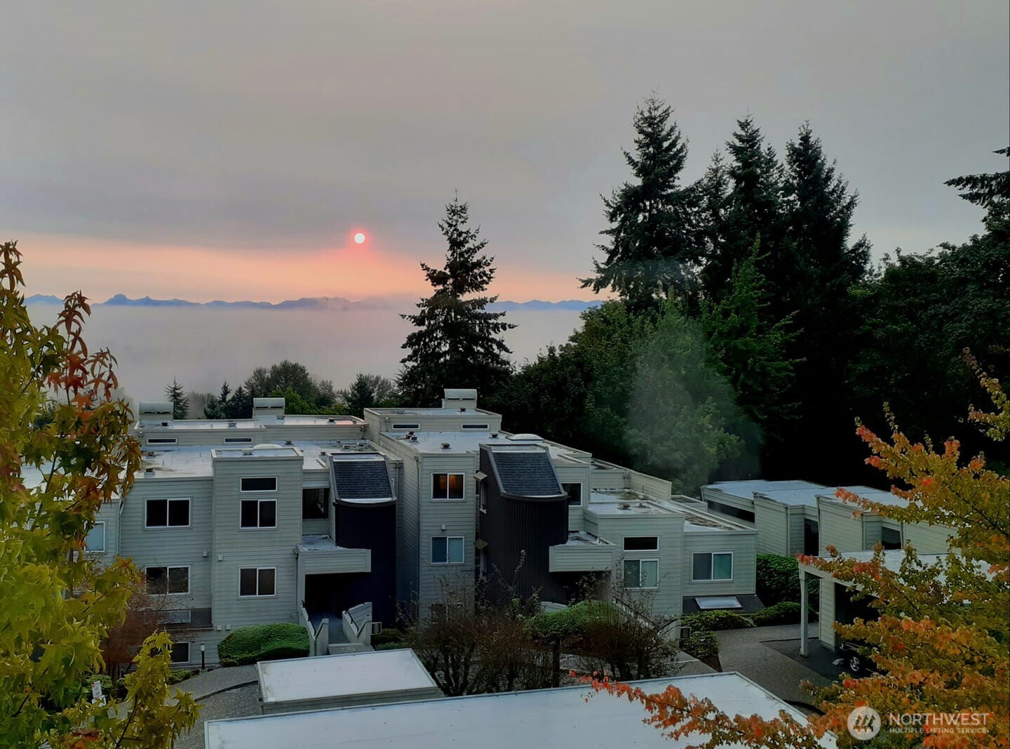 7347 Old Redmond Road #119, Redmond, WA 98052