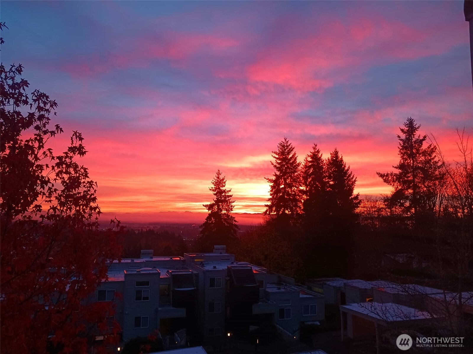 7347 Old Redmond Road #119, Redmond, WA 98052