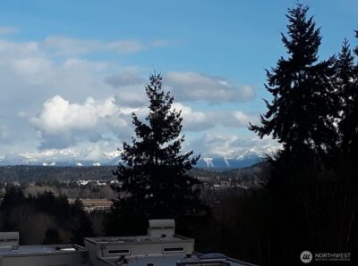 7347 Old Redmond Road #119, Redmond, WA 98052 - Photo 35