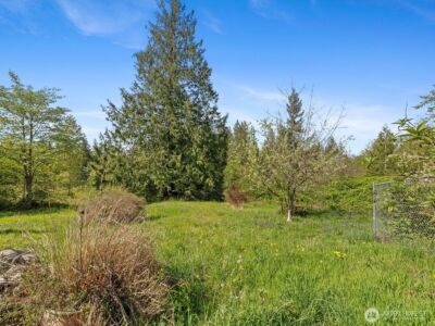 32920 Sultan Basin Road , Sultan, WA 98294 - Photo 33