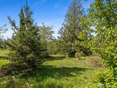 32920 Sultan Basin Road , Sultan, WA 98294 - Photo 34
