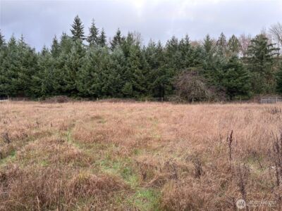 0 Byham Rd , Winlock, WA 98596 - Photo 3