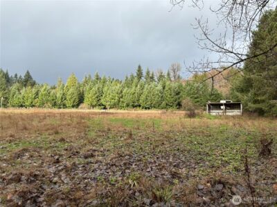 0 Byham Rd , Winlock, WA 98596 - Photo 4