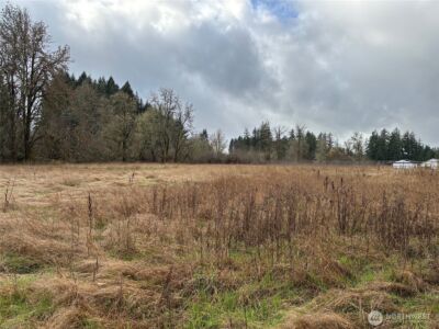 0 Byham Road , Winlock, WA 98596 - Photo 4