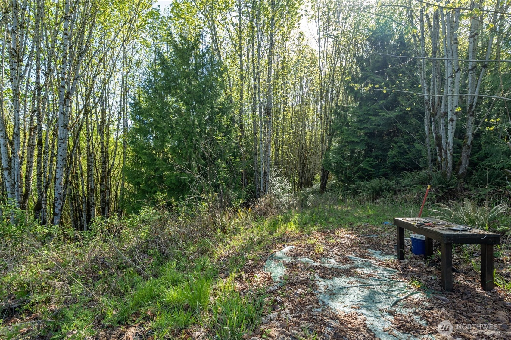 0 NKA Tybren Heights , Kelso, WA 98626