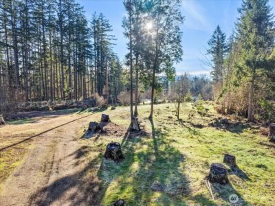 41524 Meridian E , Eatonville, WA 98328 - Photo 16