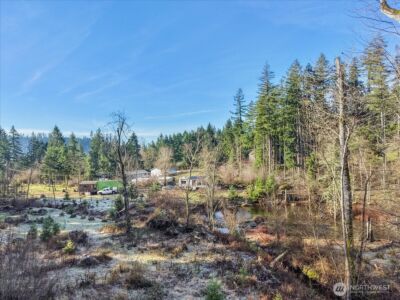 41524 Meridian E , Eatonville, WA 98328 - Photo 21