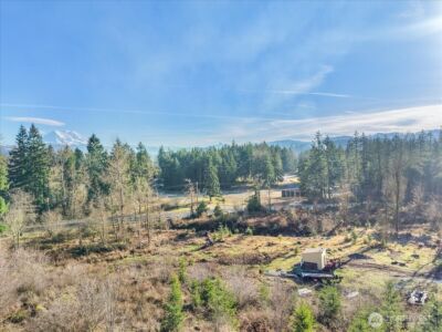 41524 Meridian E , Eatonville, WA 98328 - Photo 23