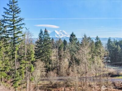 41524 Meridian E , Eatonville, WA 98328 - Photo 24
