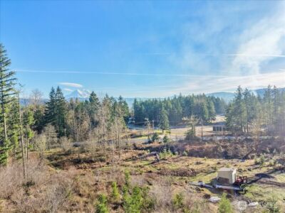 41524 Meridian E , Eatonville, WA 98328 - Photo 6