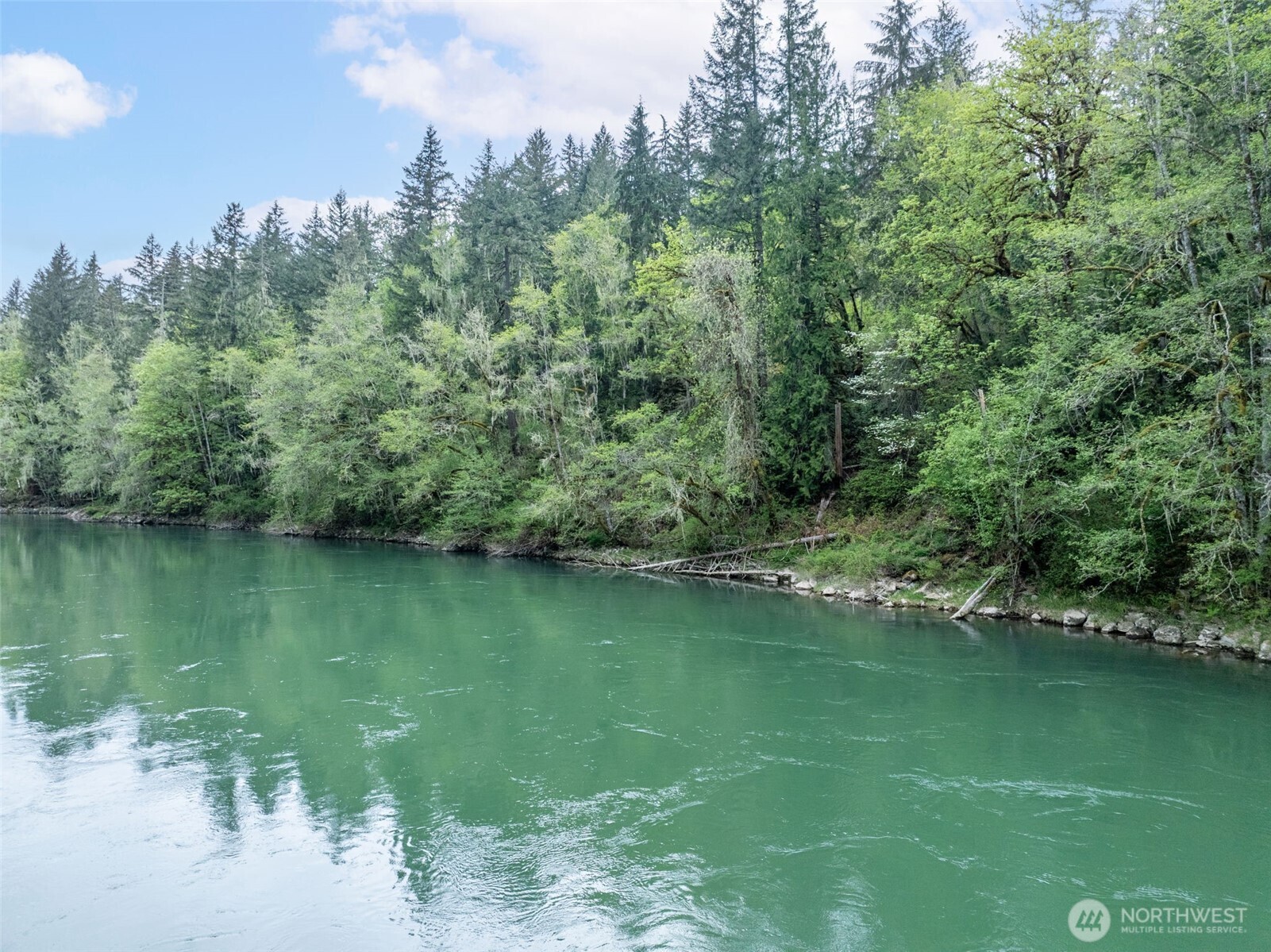 124 Raydel Drive , Mossyrock, WA 98564