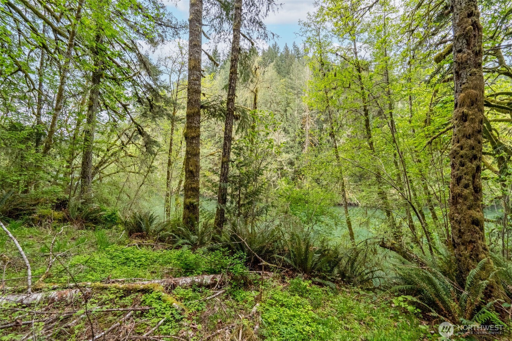 124 Raydel Drive , Mossyrock, WA 98564