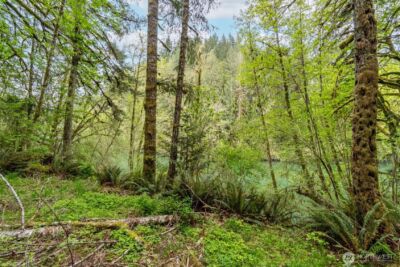 124 Raydel Drive , Mossyrock, WA 98564 - Photo 17