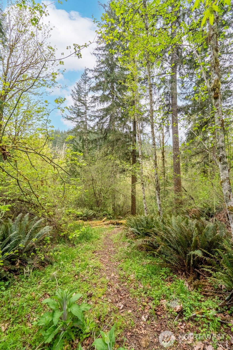 124 Raydel Drive , Mossyrock, WA 98564