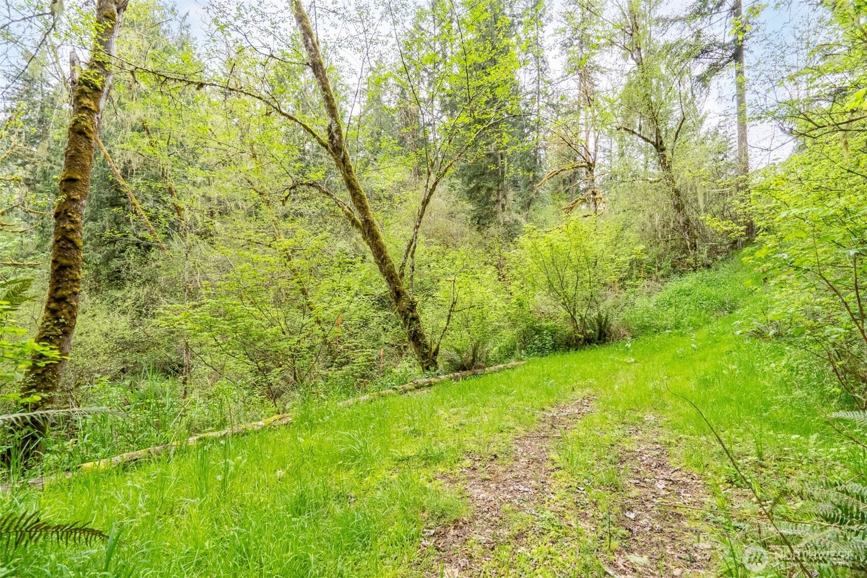 124 Raydel Drive , Mossyrock, WA 98564