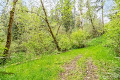 124 Raydel Drive , Mossyrock, WA 98564 - Photo 20
