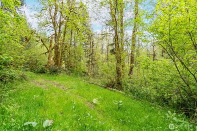 124 Raydel Drive , Mossyrock, WA 98564 - Photo 21
