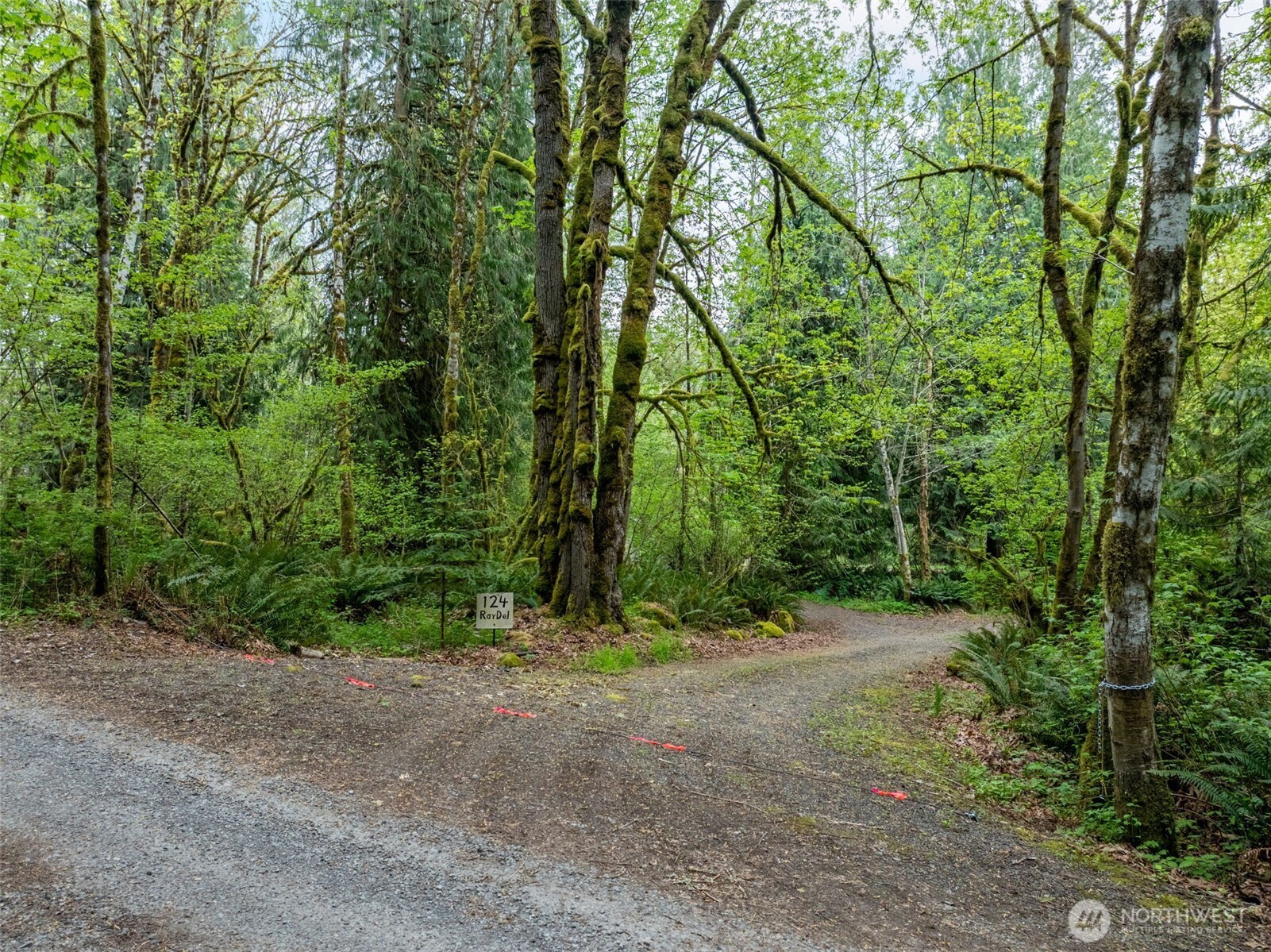 124 Raydel Drive , Mossyrock, WA 98564
