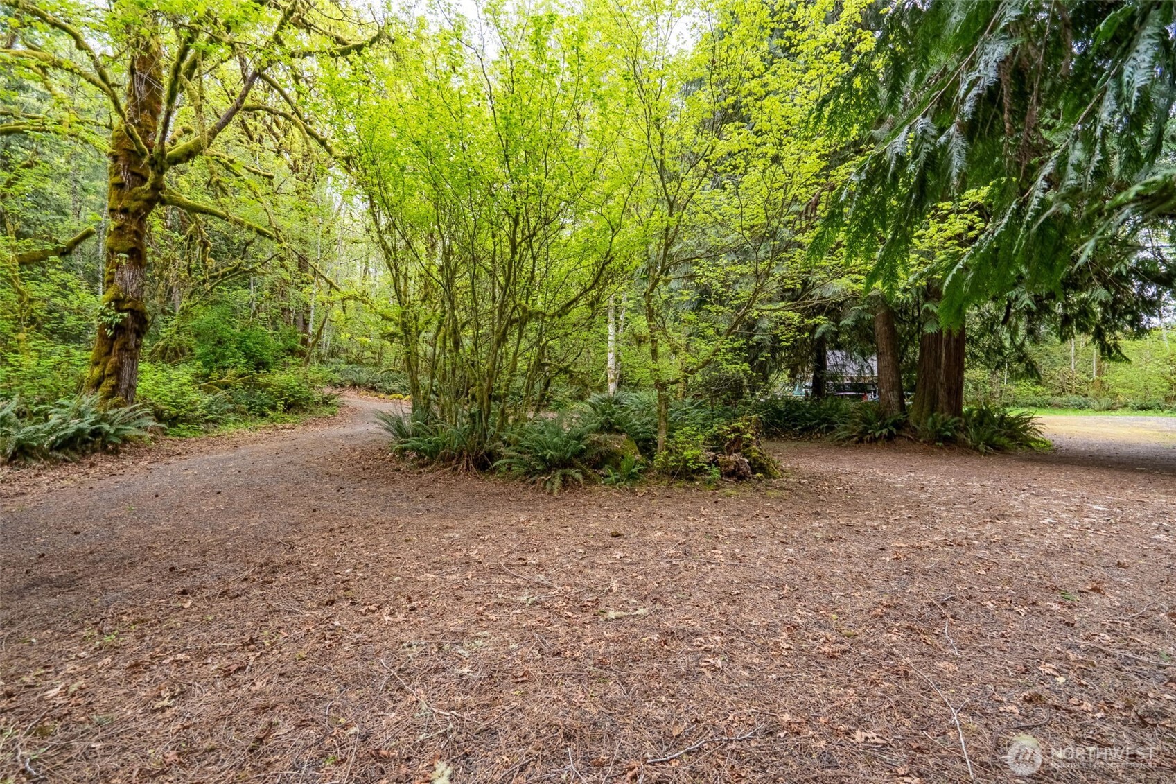 124 Raydel Drive , Mossyrock, WA 98564