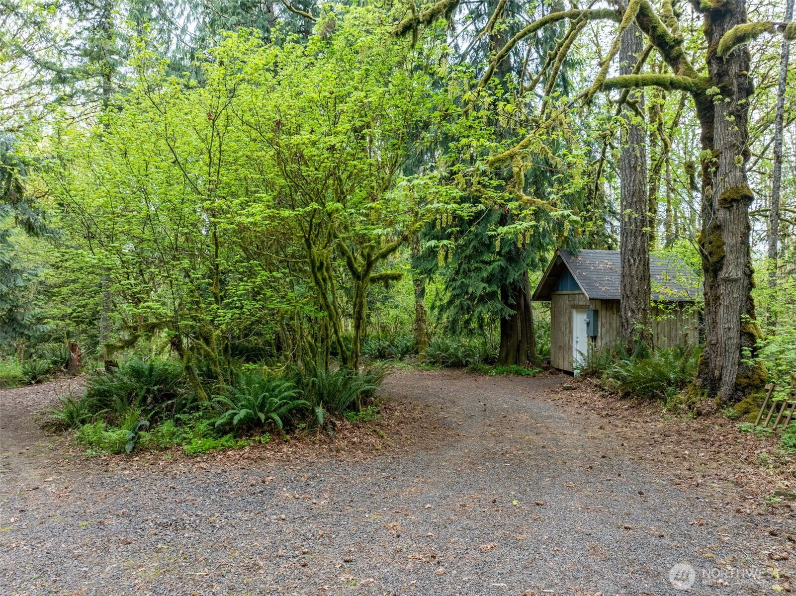 124 Raydel Drive , Mossyrock, WA 98564