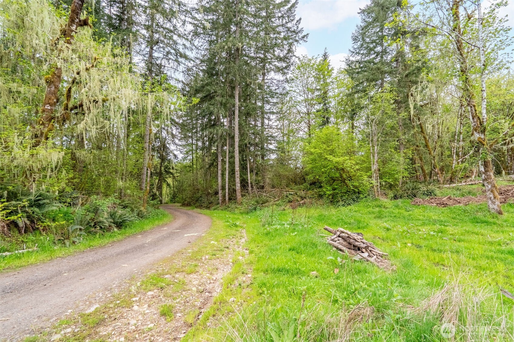 124 Raydel Drive , Mossyrock, WA 98564