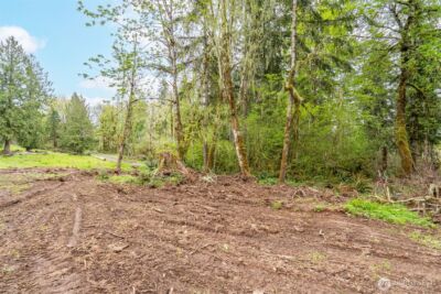 124 Raydel Drive , Mossyrock, WA 98564 - Photo 31