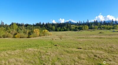 999 O'Brien Road , Port Angeles, WA 98362 - Photo 6