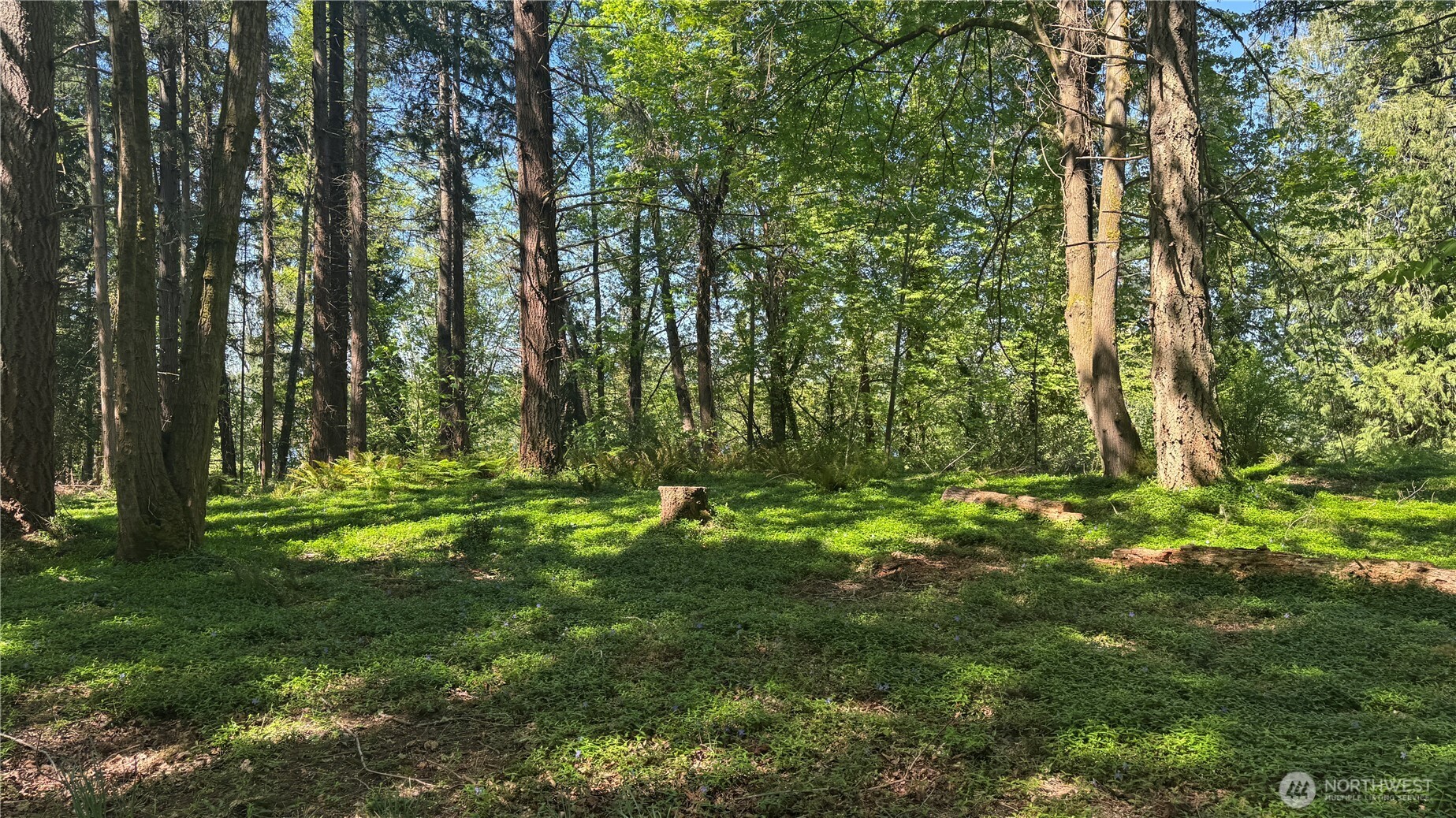 12820 SW Bank Rd , Vashon, WA 98070