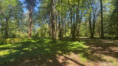 12820 SW Bank Rd , Vashon, WA 98070 - Photo 4