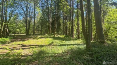 12820 SW Bank Rd , Vashon, WA 98070 - Photo 5
