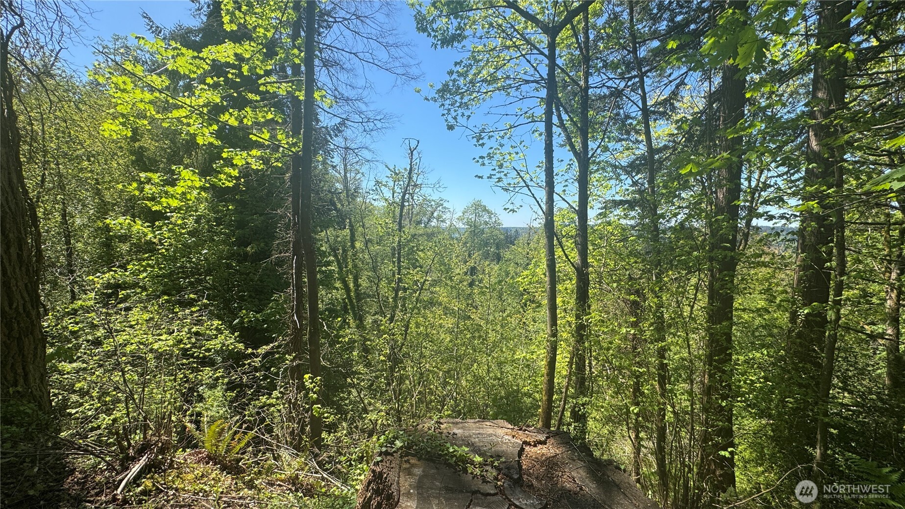 12820 SW Bank Rd , Vashon, WA 98070