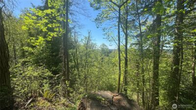 12820 SW Bank Rd , Vashon, WA 98070 - Photo 7
