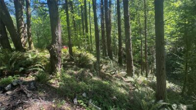 12820 SW Bank Rd , Vashon, WA 98070 - Photo 10
