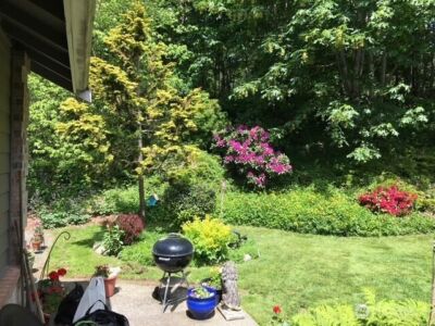 32021 SE 291 Street , Ravensdale, WA 98051 - Photo 8