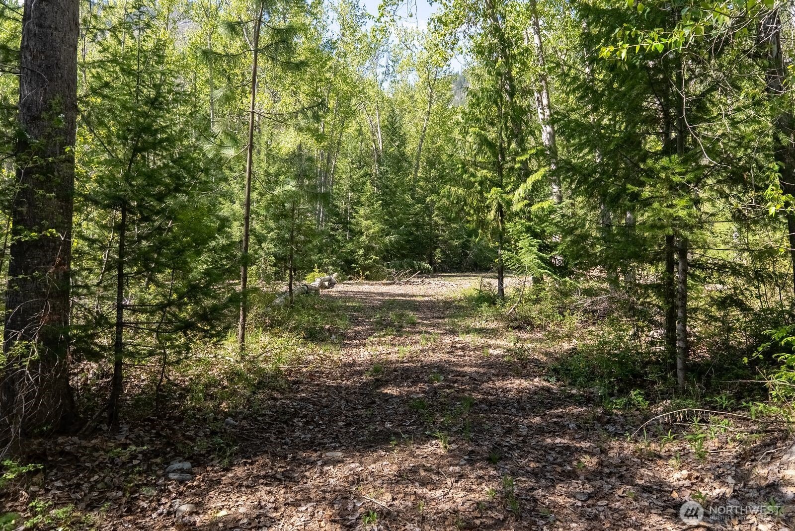 98 Cassel Way , Mazama, WA 98833