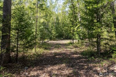 98 Cassel Way , Mazama, WA 98833 - Photo 11