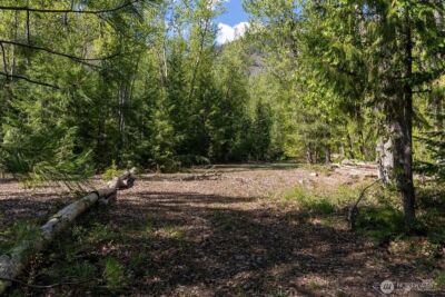 98 Cassel Way , Mazama, WA 98833 - Photo 12