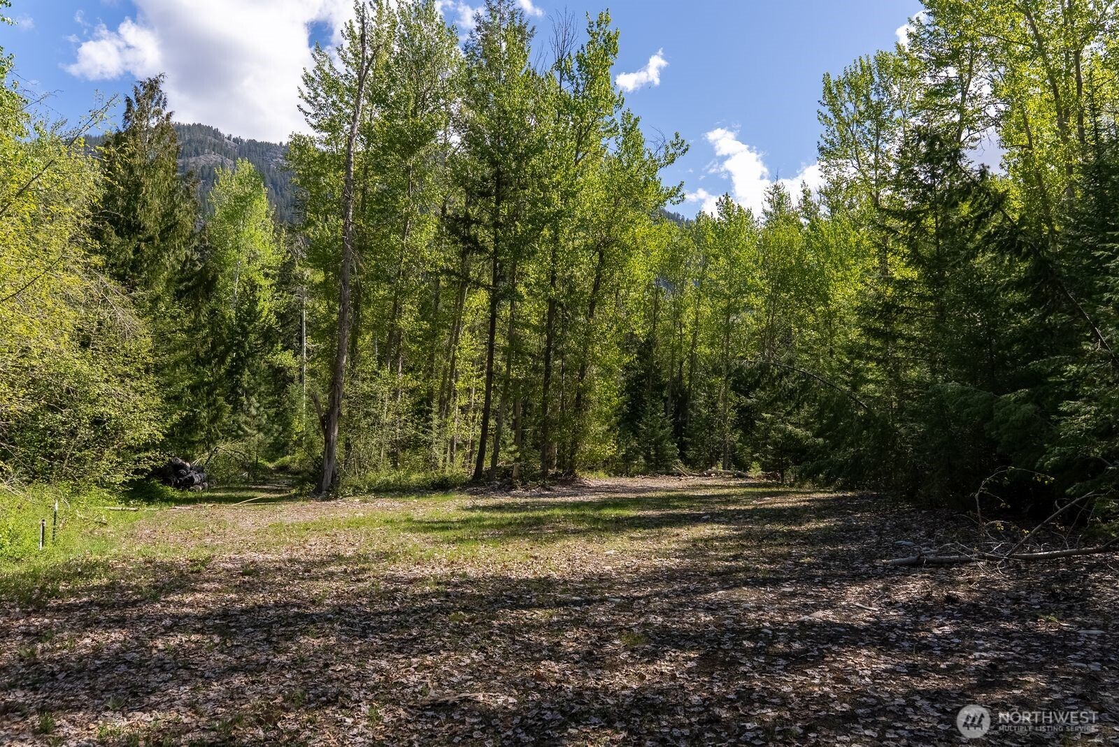 98 Cassel Way , Mazama, WA 98833
