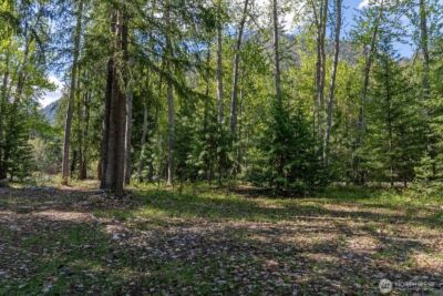 98 Cassel Way , Mazama, WA 98833 - Photo 19