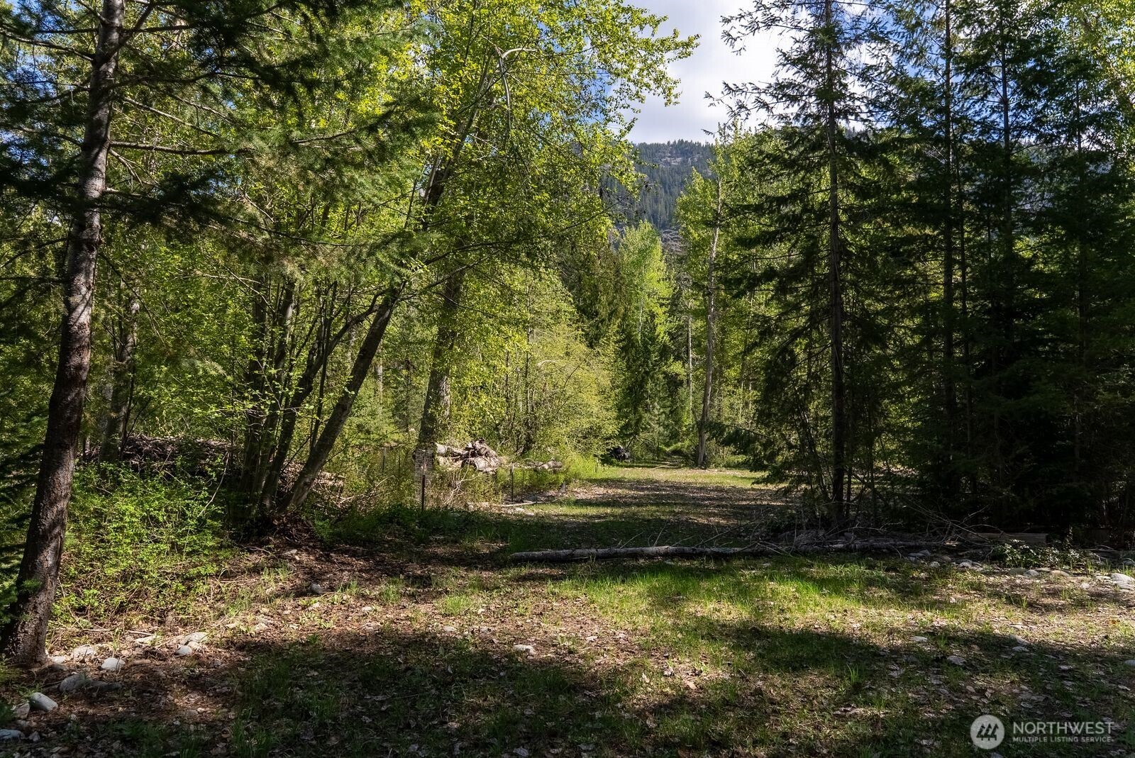 98 Cassel Way , Mazama, WA 98833